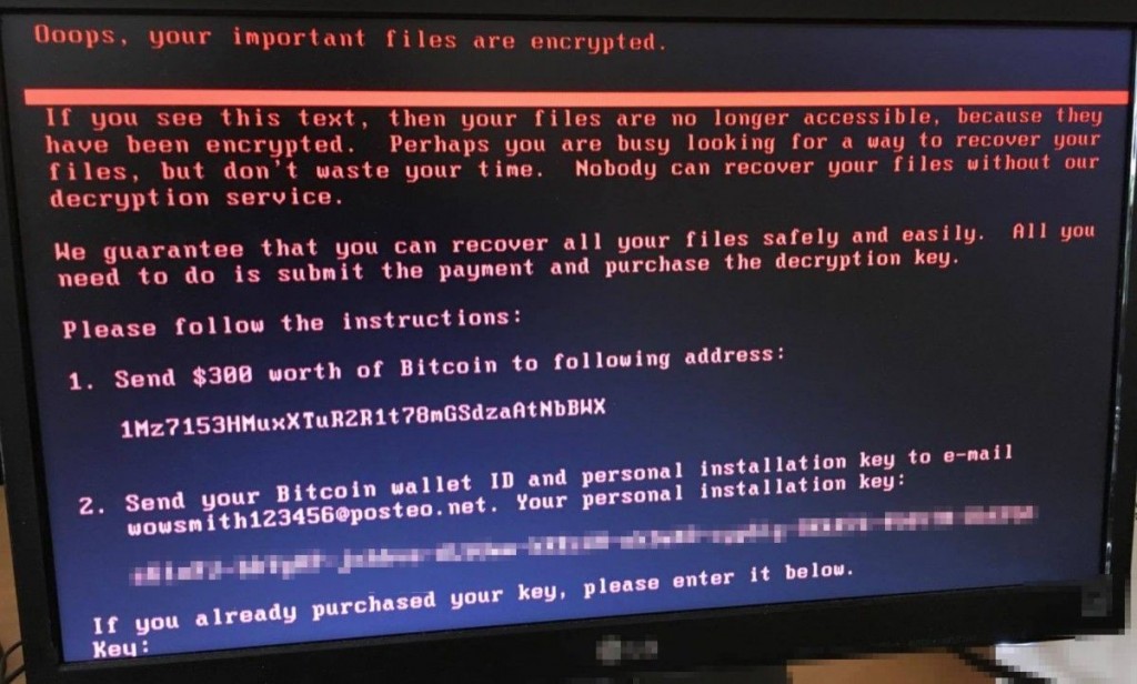 «Мы так зарабатываем»: в Бресте хакеры блокируют компьютеры фирм и вымогают за пароли тысячи долларов 