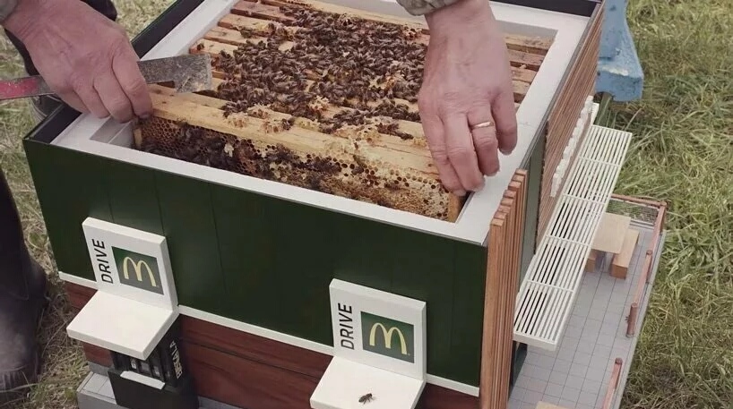 Пчелиный улей - самый маленький "ресторан" МакДональдс