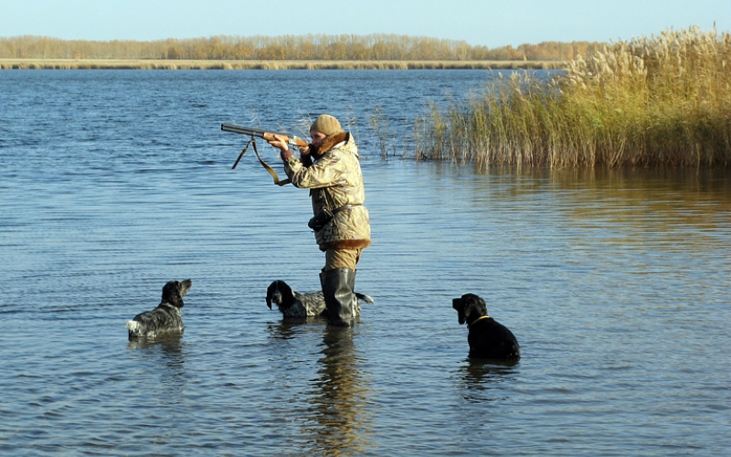 С сегодняшнего дня охотиться в Беларуси нужно по новым правилам