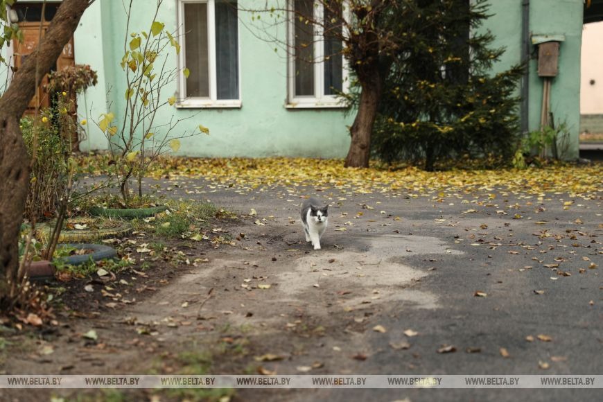 Вскоре стало известно, что мальчика переведут на лечение в Республиканский ожоговый центр. Решение было принято после того, как в Барановичи на консилиум прибыли специалисты из Минска – заведующая отделением анестезиологии и реанимации (ожоговых больных с ПИТ) клинической больницы скорой медицинской помощи Минска Лариса Золотухина и заведующий детским ожоговым отделением данного учреждения Игорь Зеленко.  Специалистам предстоит установить точную причину пожара, а пока что в МЧС призвали родителей хранить спички и зажигалки в недоступных местах, запрещать детям самостоятельно пользоваться газовыми и электрическими приборами или топить печи. Лучшая тактика: рассказать правила безопасности, не запугивая ребенка, а также объяснить, что нужно делать в различных ситуациях.