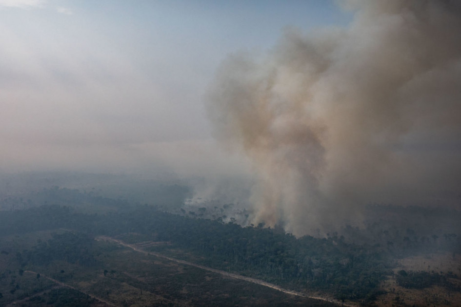 Амазония: может ли планета остаться без главного тропического леса