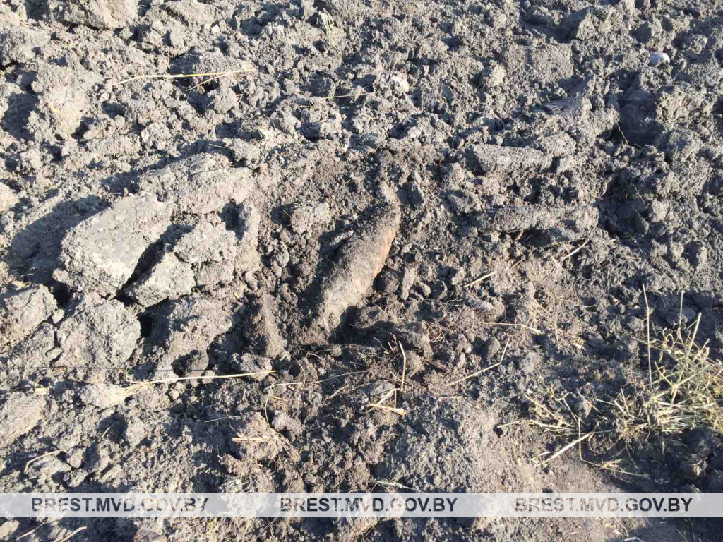 Боеприпасы обнаружили на обочине дороги в Кобринском районе