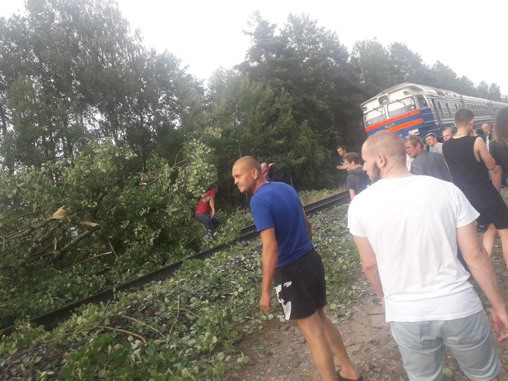 Буря на Брестчине оторвала руку памятнику