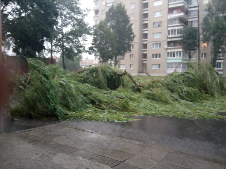 Буря на Брестчине оторвала руку памятнику