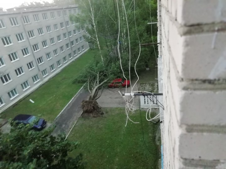 Буря на Брестчине оторвала руку памятнику