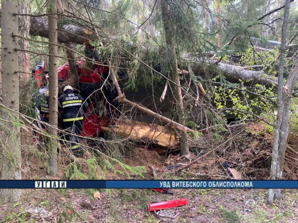 Водитель погиб после столкновения авто с деревом под Полоцком