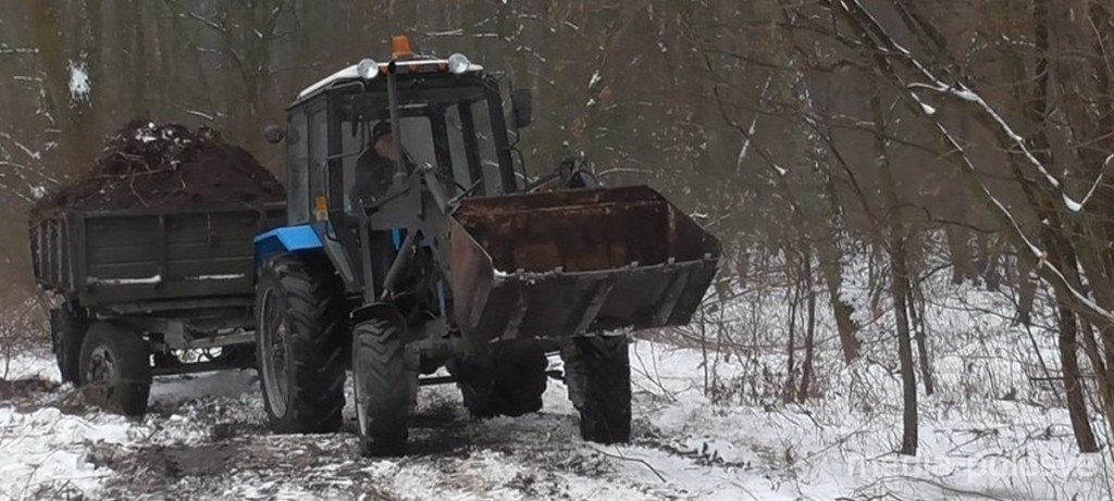 Двое неработающих жителей Столинского района воровали в лесу землю
