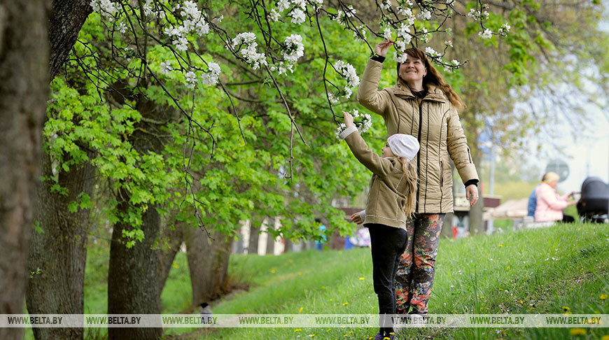 Фотоотчет: в Брест пришла весна