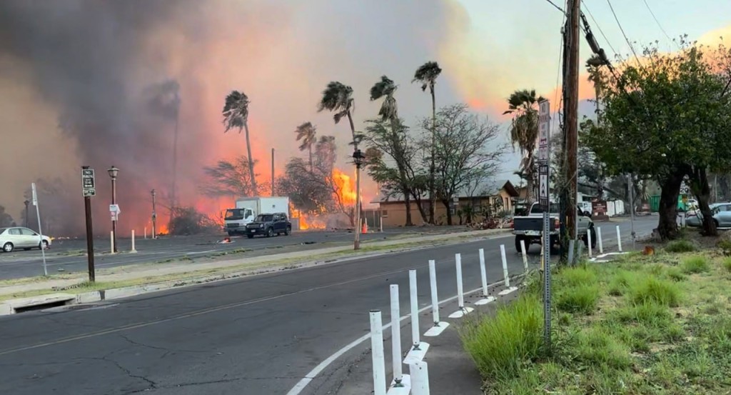 Лесные пожары на Гавайях стали самыми страшными за сто лет