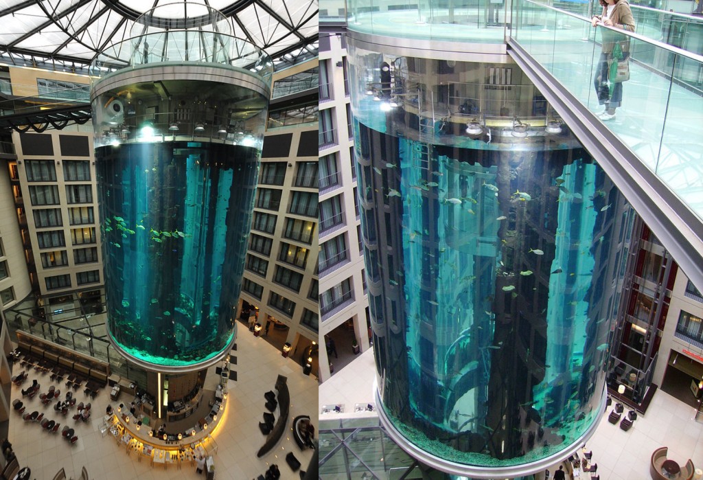 В Берлине лопнул крупнейший в мире аквариум
