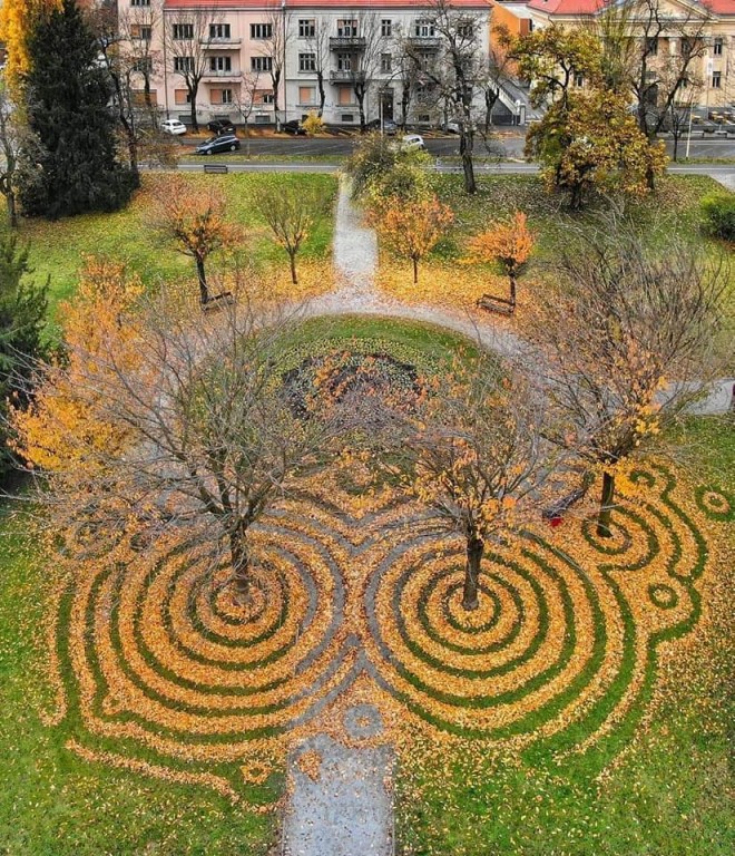 Исчезающее искусство: художник создает чарующие картины из опавшей листвы