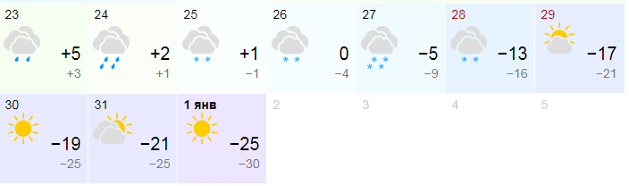 Какая погода будет в Беларуси на Новый год?