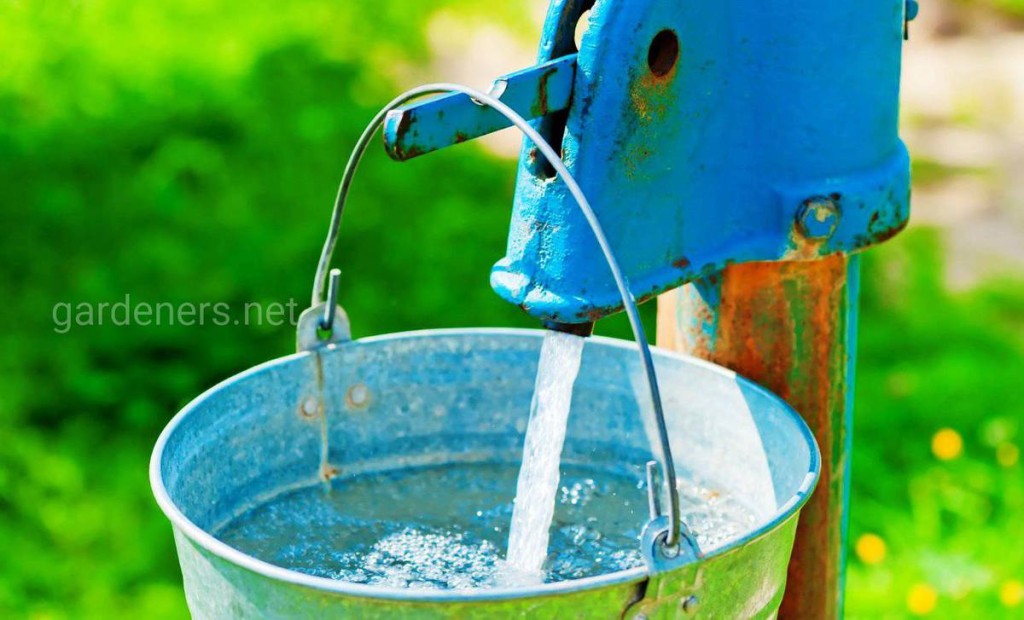 Колодец или скважина: выбираем источник водоснабжения для дачного участка
