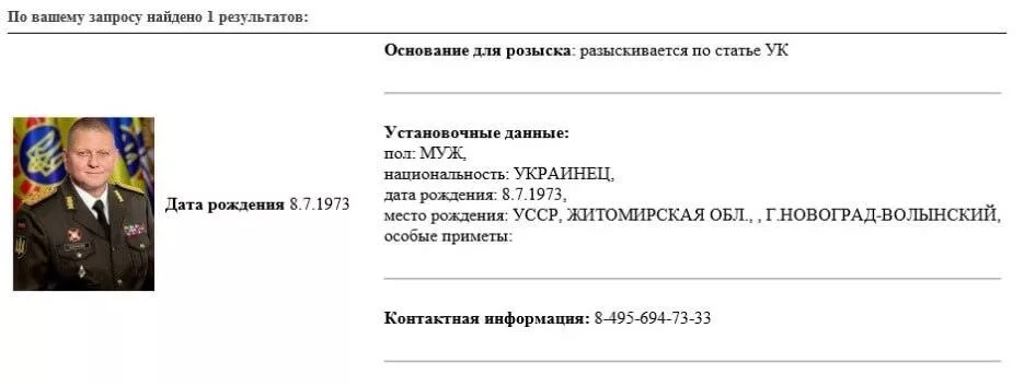 МВД РФ объявила в розыск главнокомандующего ВСУ Валерия Залужного