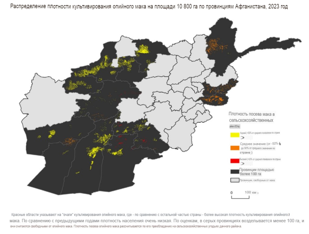 В Афганистане на 95% упали объемы выращивания опийного мака