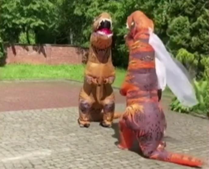 Пара пришла в ЗАГС в костюмах тиранозавров (видео)