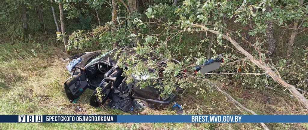 Пассажирка легковушки погибла в аварии в Ганцевичском районе (видео)