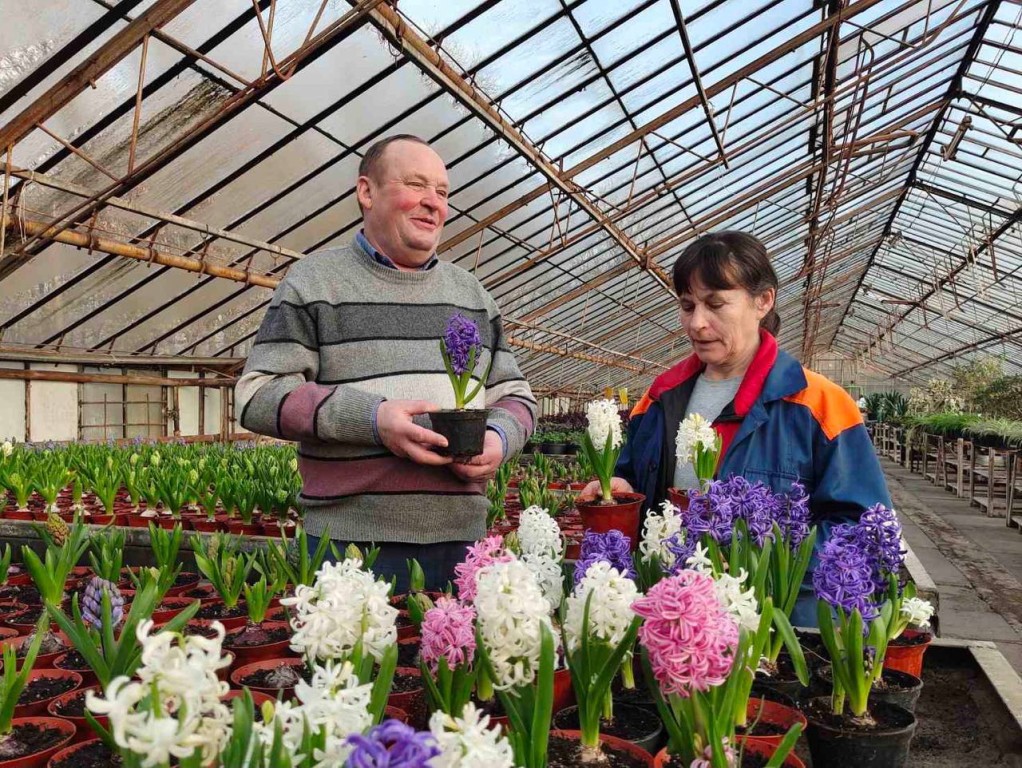 В Бресте планируют высадить более 500 тысяч цветов