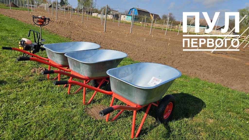 Лукашенко высаживает яблоневый сад в рамках субботника