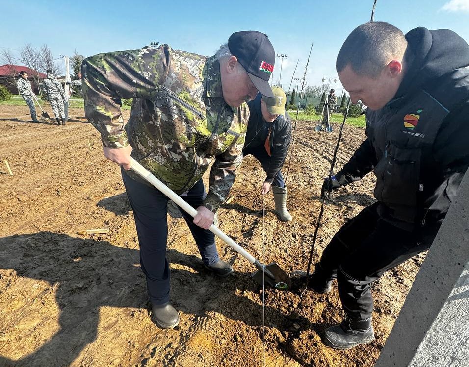 Лукашенко высаживает яблоневый сад в рамках субботника