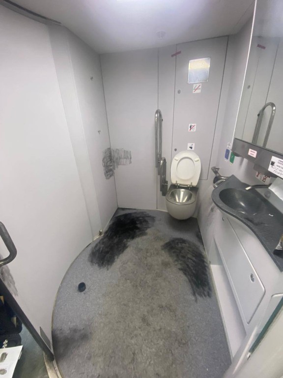 Изрезанное тело младенца нашли в туалете поезда в Москве. Есть жуткие фото