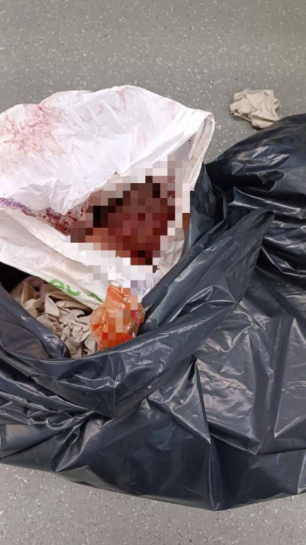 Изрезанное тело младенца нашли в туалете поезда в Москве. Есть жуткие фото