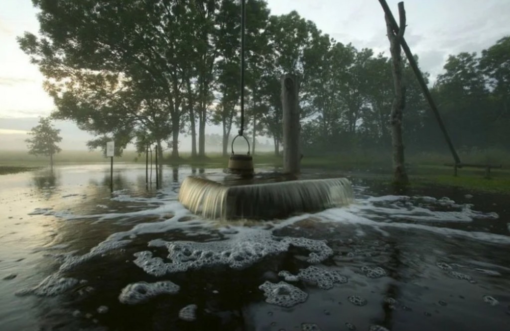 Редчайшее явление: дерево превращается в фонтан во время дождя