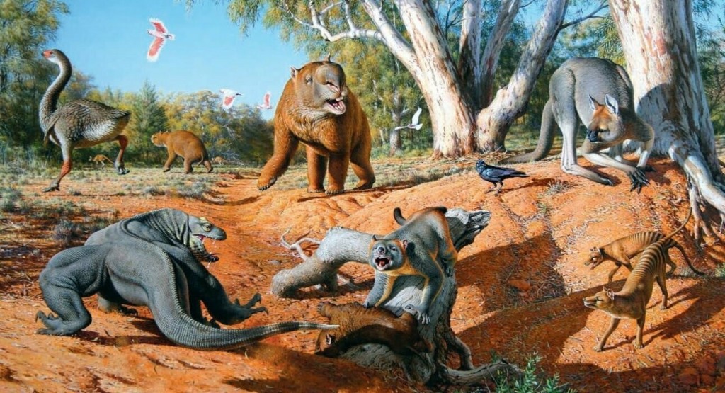 Самое опасное животное на Земле: как аборигены уничтожили мегафауну Австралии