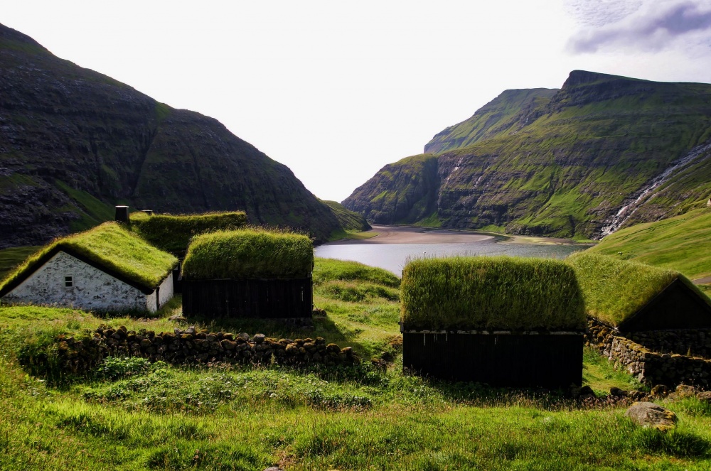 Самые «зеленые» здания: трава и деревья прямо на крышах