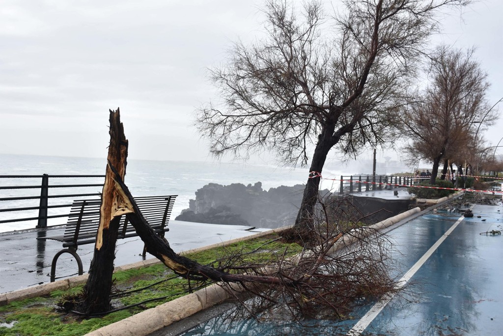 Циклон Гарри