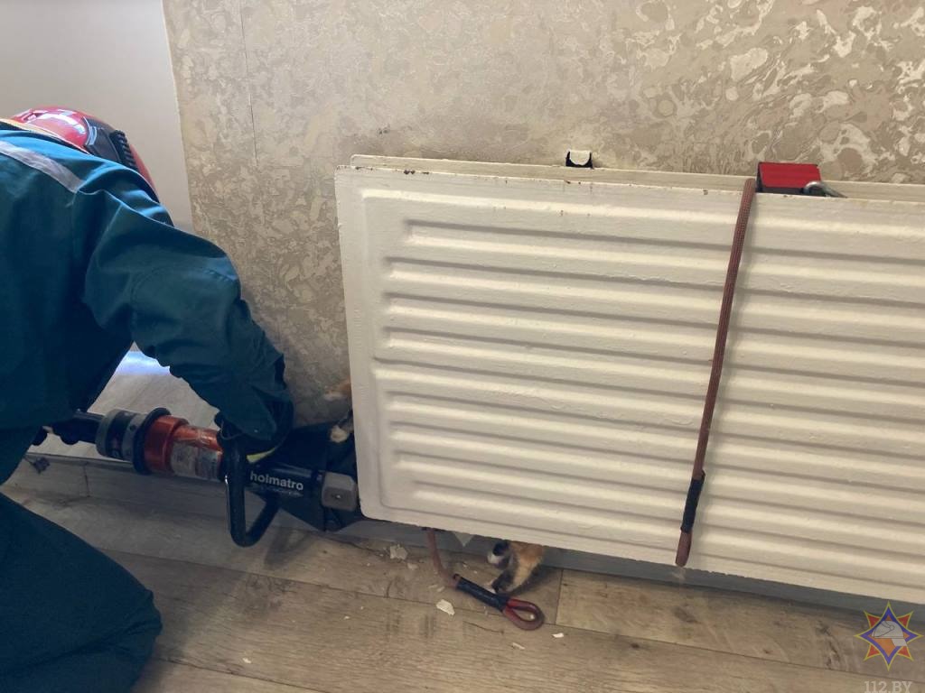 В Березе спасатели вызволили кошку из батареи