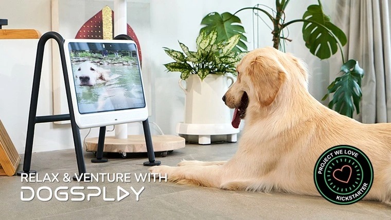 Телевизор для собак выпустили в Южной Корее