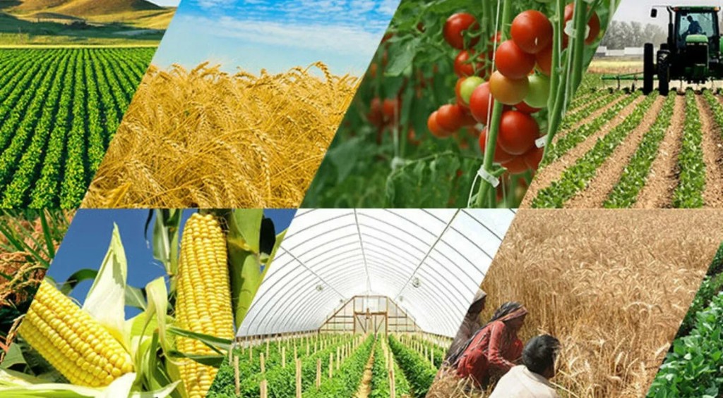 АПК Беларуси