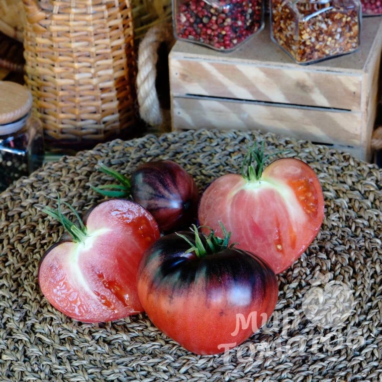 В коллекции жительницы Гродненской области более 500 сортов экзотических и редких томатов