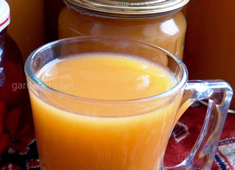 ТОП-11 популярных рецептов из абрикосов