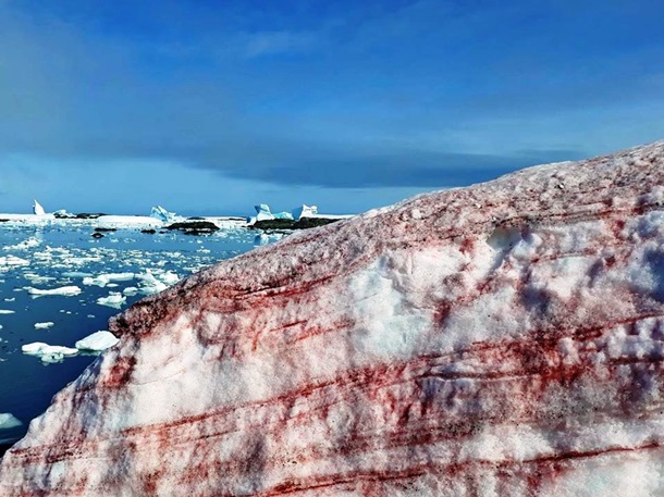 Ученые нашли «окровавленный» снег в Антарктиде