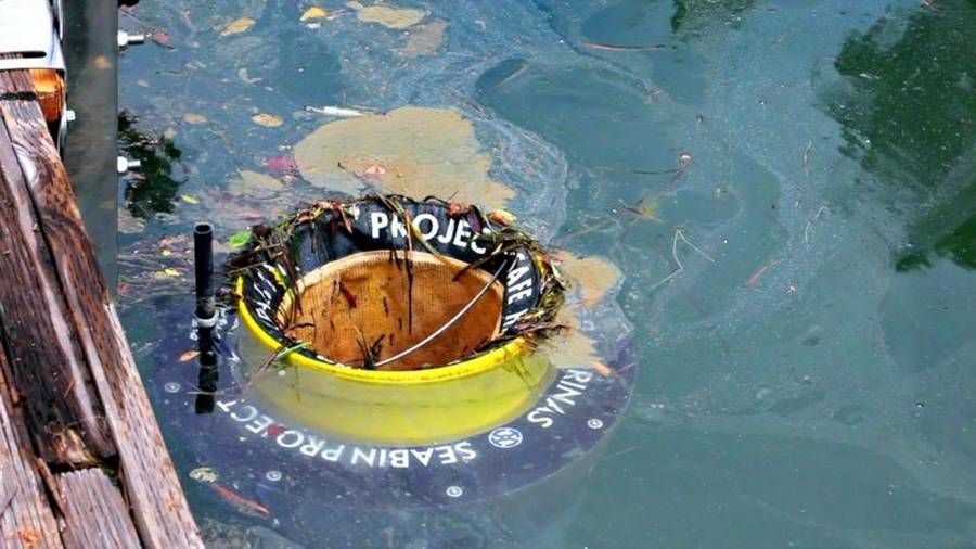 В Австралии придумали мусорки, которые сами собирают отходы в воде