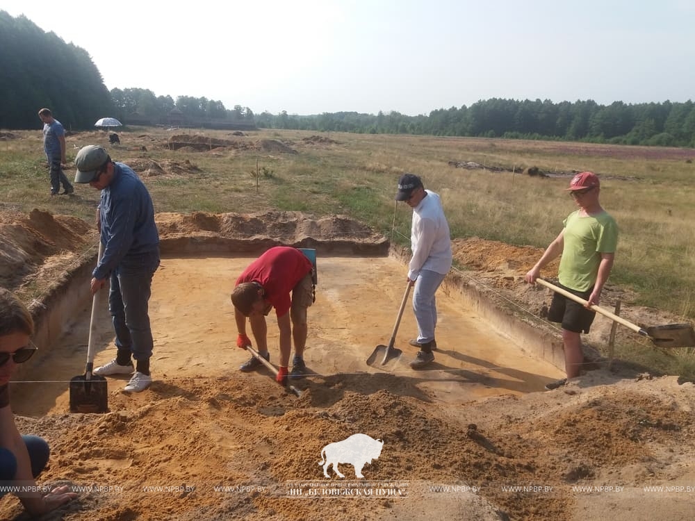 В Беловежской пуще идут археологические исследования
