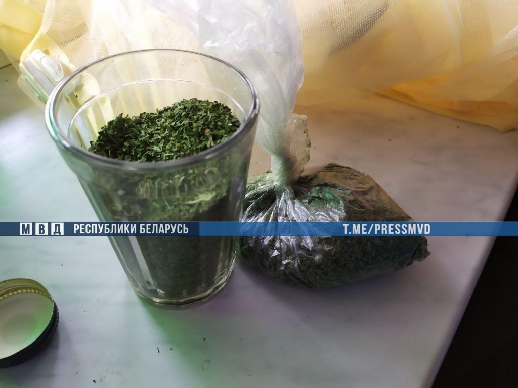 В Бресте пара рисовала оскорбительные надписи (видео)