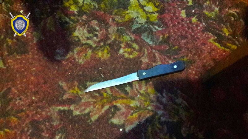 В Чаусах милиционер стрелял в мужчину с ножом