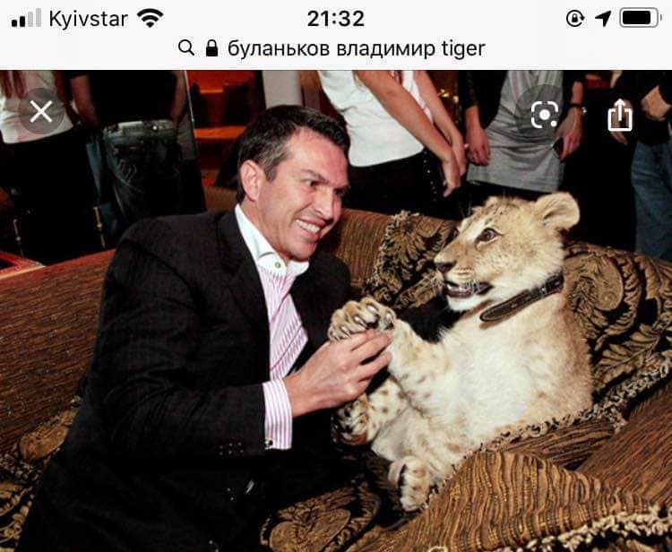 В Киеве в заброшенном клубе нашли шесть беспризорных тигров