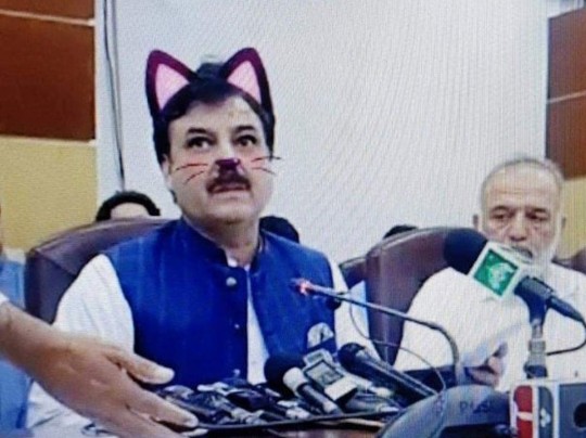 Заседание правительства в масках котиков провели в Пакистане (видео)