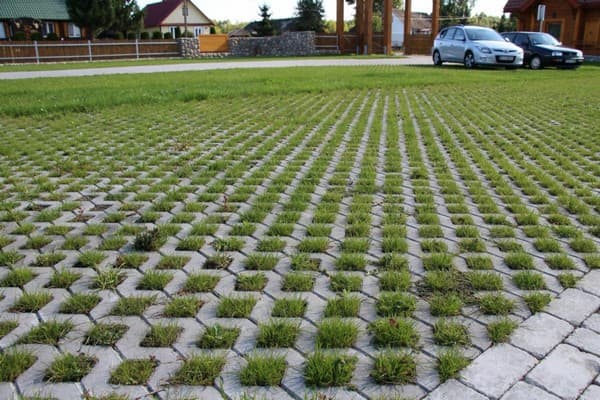 Зеленые парковки на даче: 50 идей для обустройства экопарковки