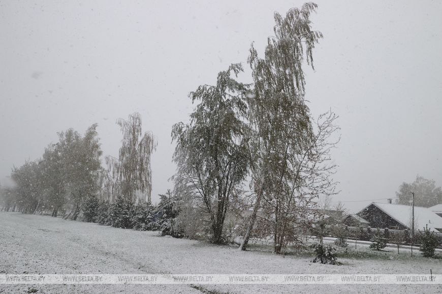 Зима вернулась – снег выпал в Беларуси