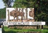 Первый в стране музей под открытым небом построят в Беловежской пуще