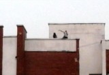 Милиция заинтересовалась девушкой, которая делала селфи на крыше брестской многоэтажки