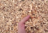 30 сентября в Бресте заработает комплекс по переработке древесных отходов в биотопливо