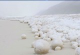 Магия природы: на Ямале появились ледяные шары