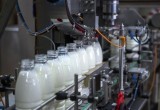 Беларусь вошла в пятерку мировых лидеров по экспорту молока