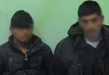 Брестские таможенники задержали двух нелегалов из Пакистана и Афганистана